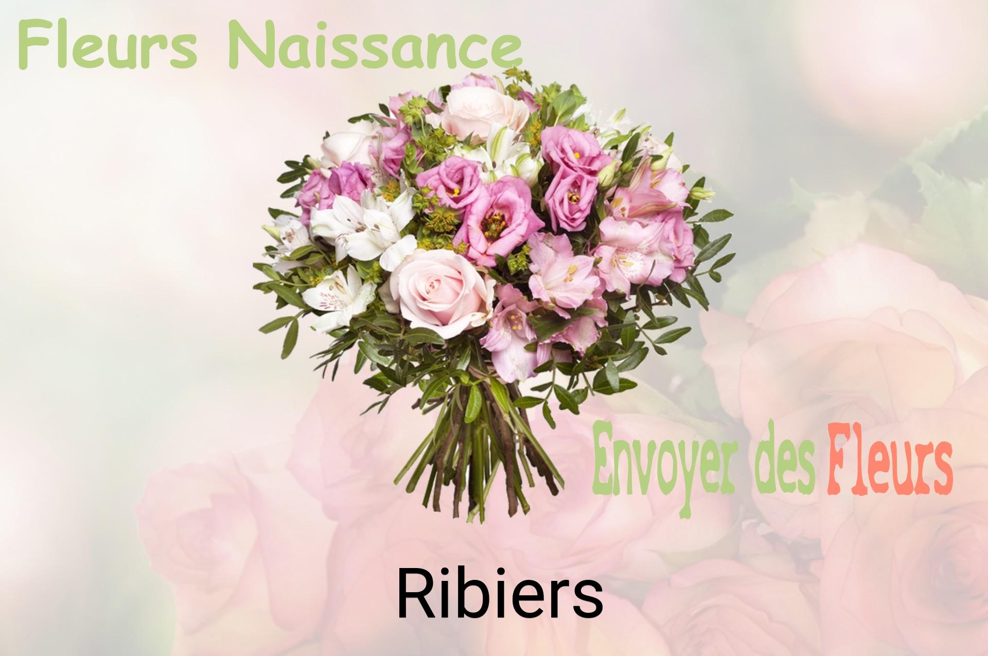 Bouquet de fleurs de naissance livré à Ribiers