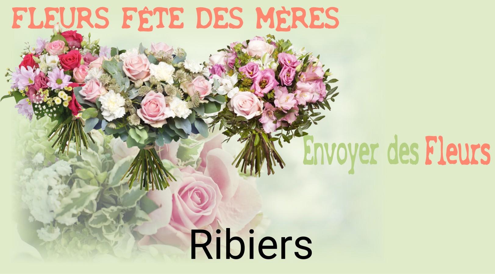 Bouquet de Fête des Mères livré à Ribiers